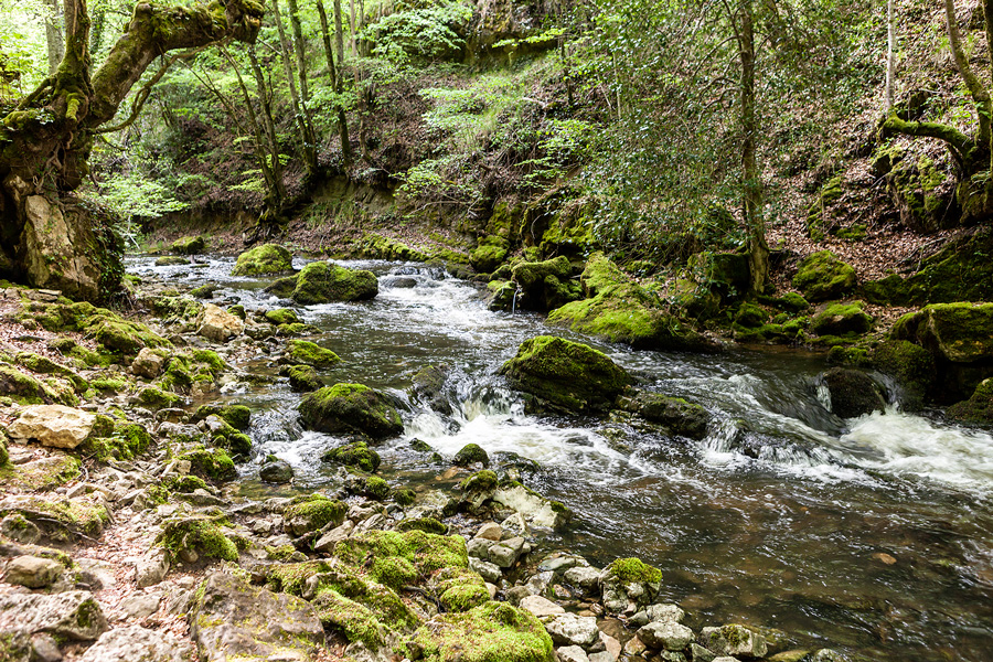 Bosque y cascada de Las Pisas