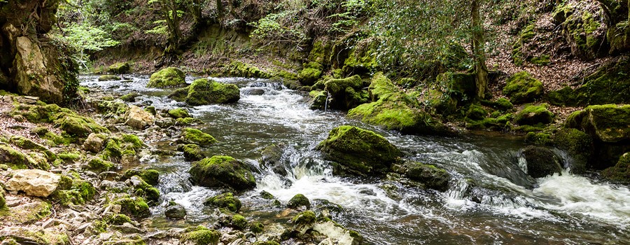 Bosque y cascada de Las Pisas
