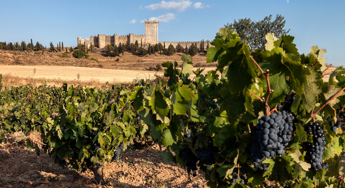 Una de romanos en la Ribera del Duero