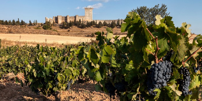 Una de romanos en la Ribera del Duero