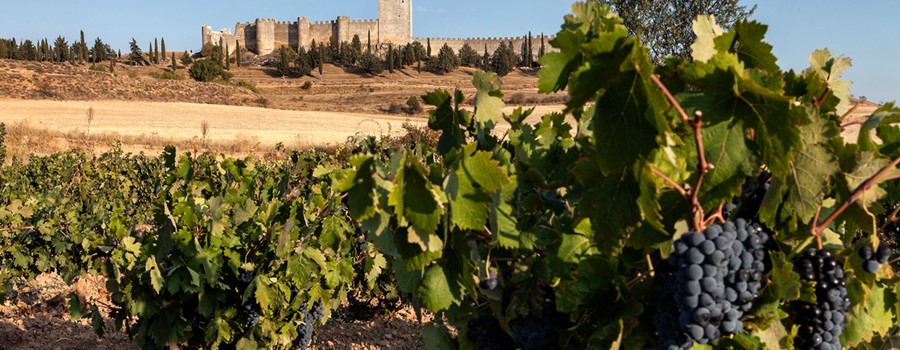 Una de romanos en la Ribera del Duero