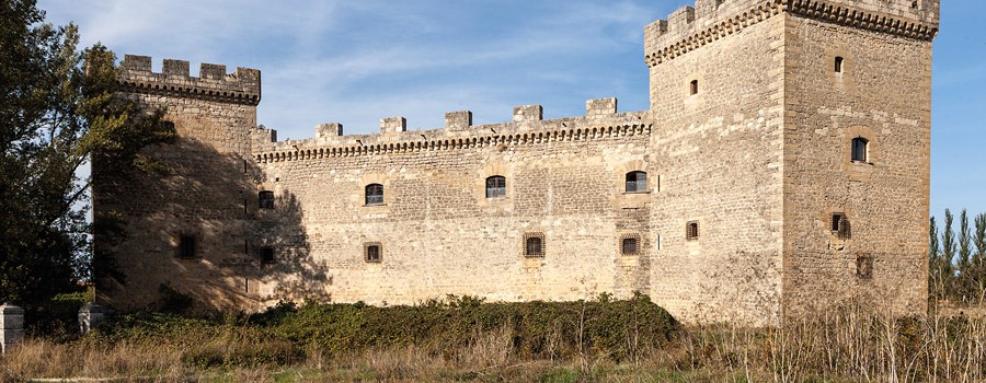 Castillo de Sotopalacios