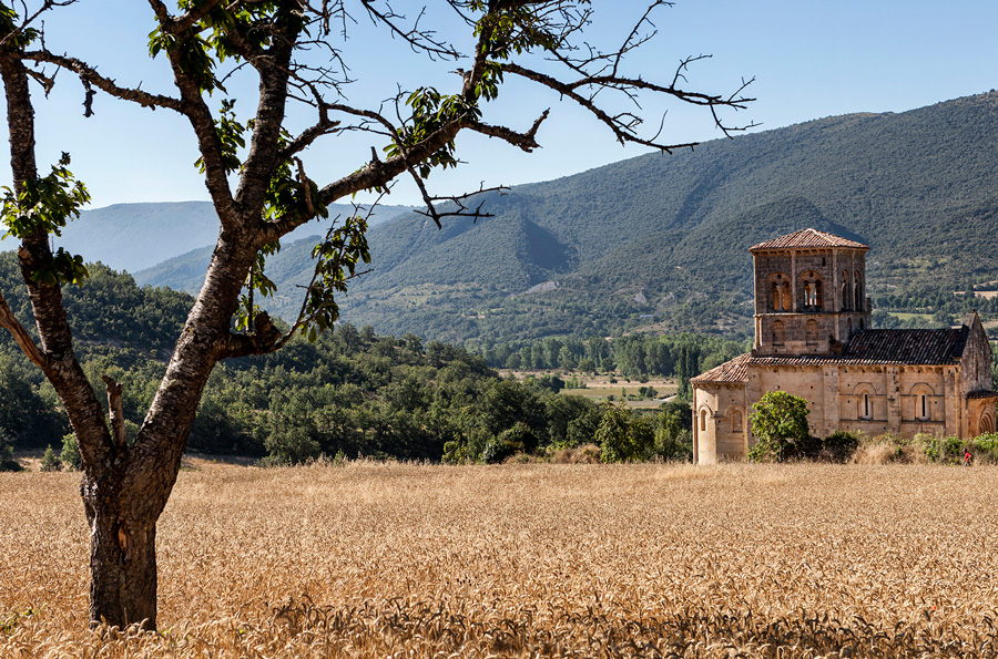 San Pedro de Tejada, el escondido tesoro de Valdivielso