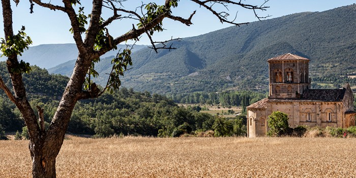 San Pedro de Tejada, el escondido tesoro de Valdivielso