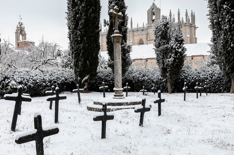 El cementerio de los cartujos