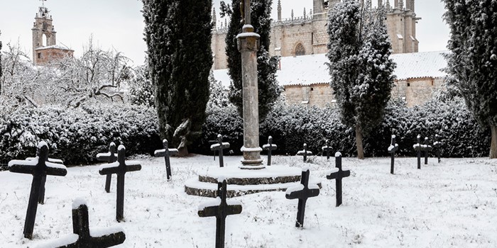 El cementerio de los cartujos