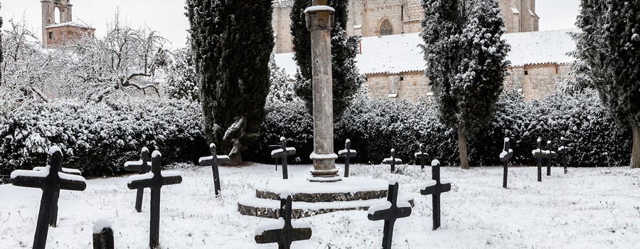 El cementerio de los cartujos