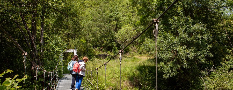 Senderismo por el bajo Rudrón