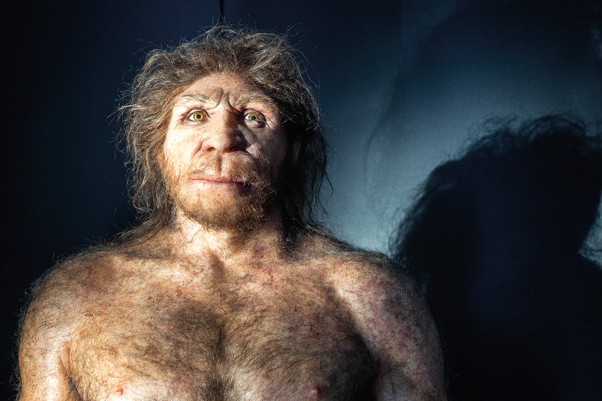 Burgos, capital de la Evolución Humana