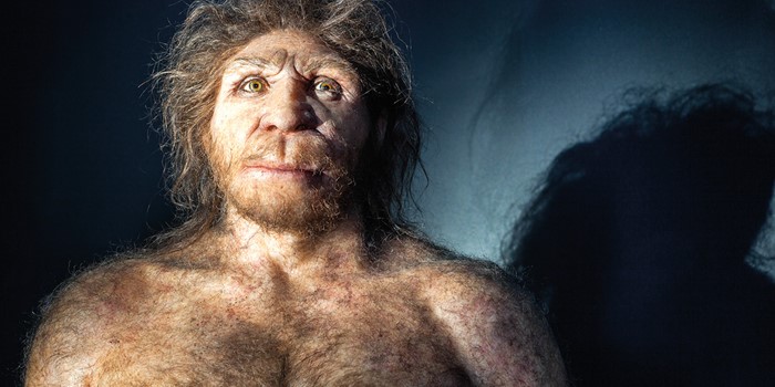 Burgos, capital de la Evolución Humana