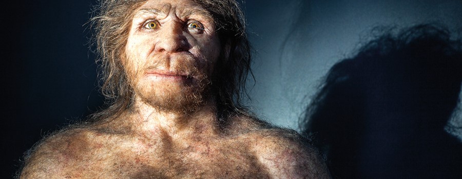 Burgos, capital de la Evolución Humana