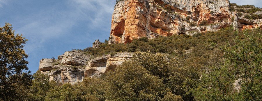 Parque Natural
