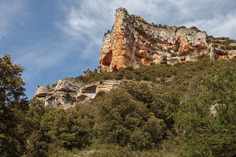 Parque Natural