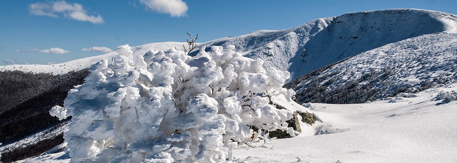 5- Sierra del Mencilla, la reina de los bosques