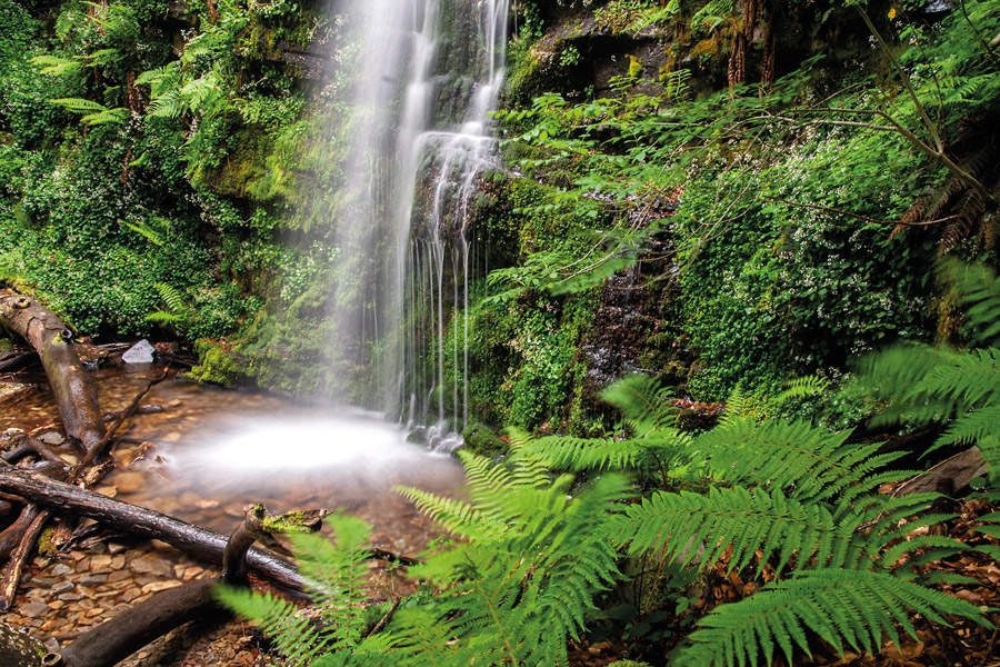 Altuzarra, cascadas para el verano