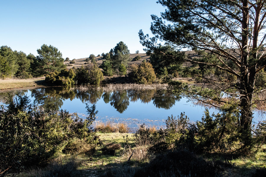 El Poceairón de Aldea del Pinar