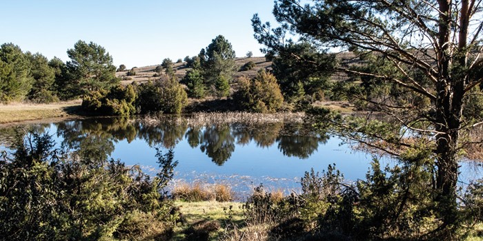 El Poceairón de Aldea del Pinar