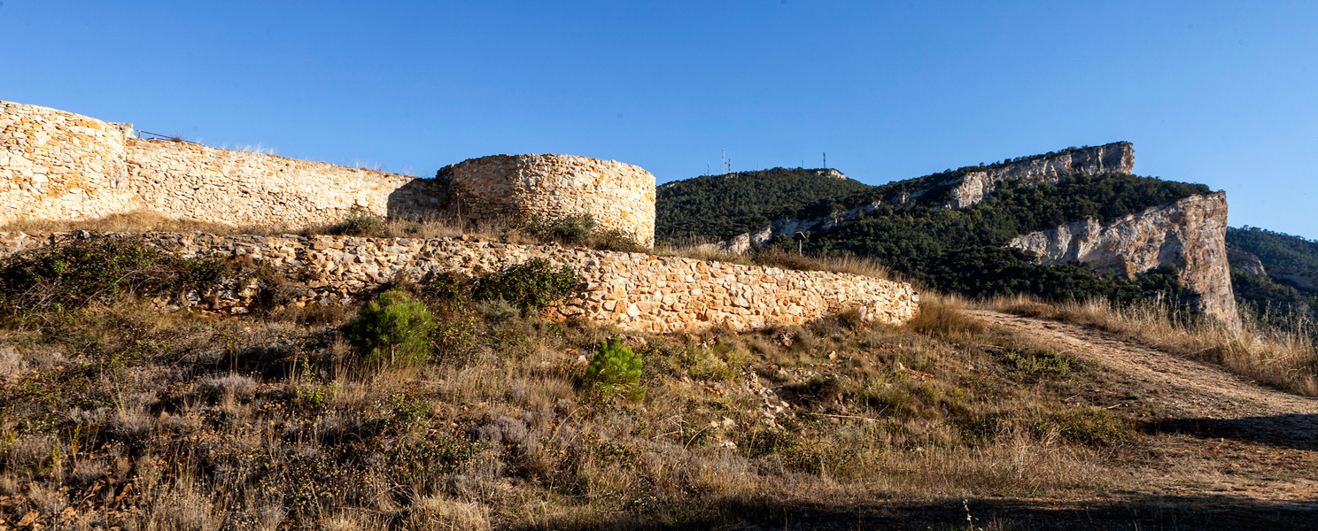 Tedeja, el castillo más antiguo de Castilla