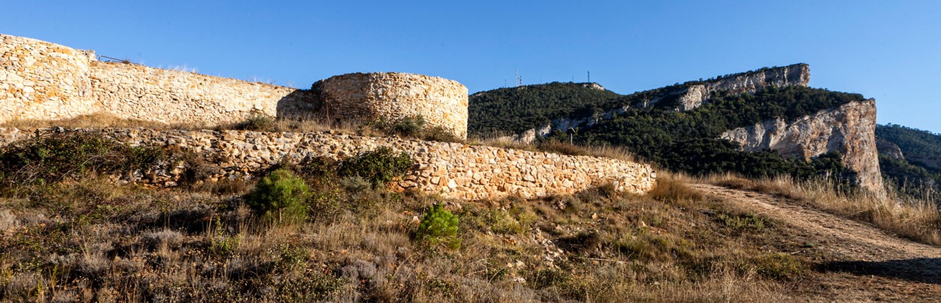 Tedeja, el castillo más antiguo de Castilla