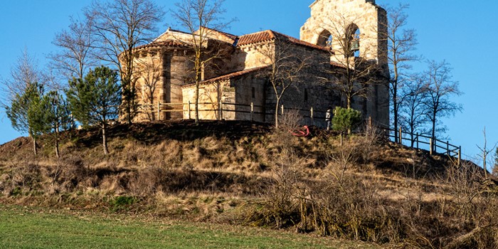 Carcedo de Bureba, románico a la vista