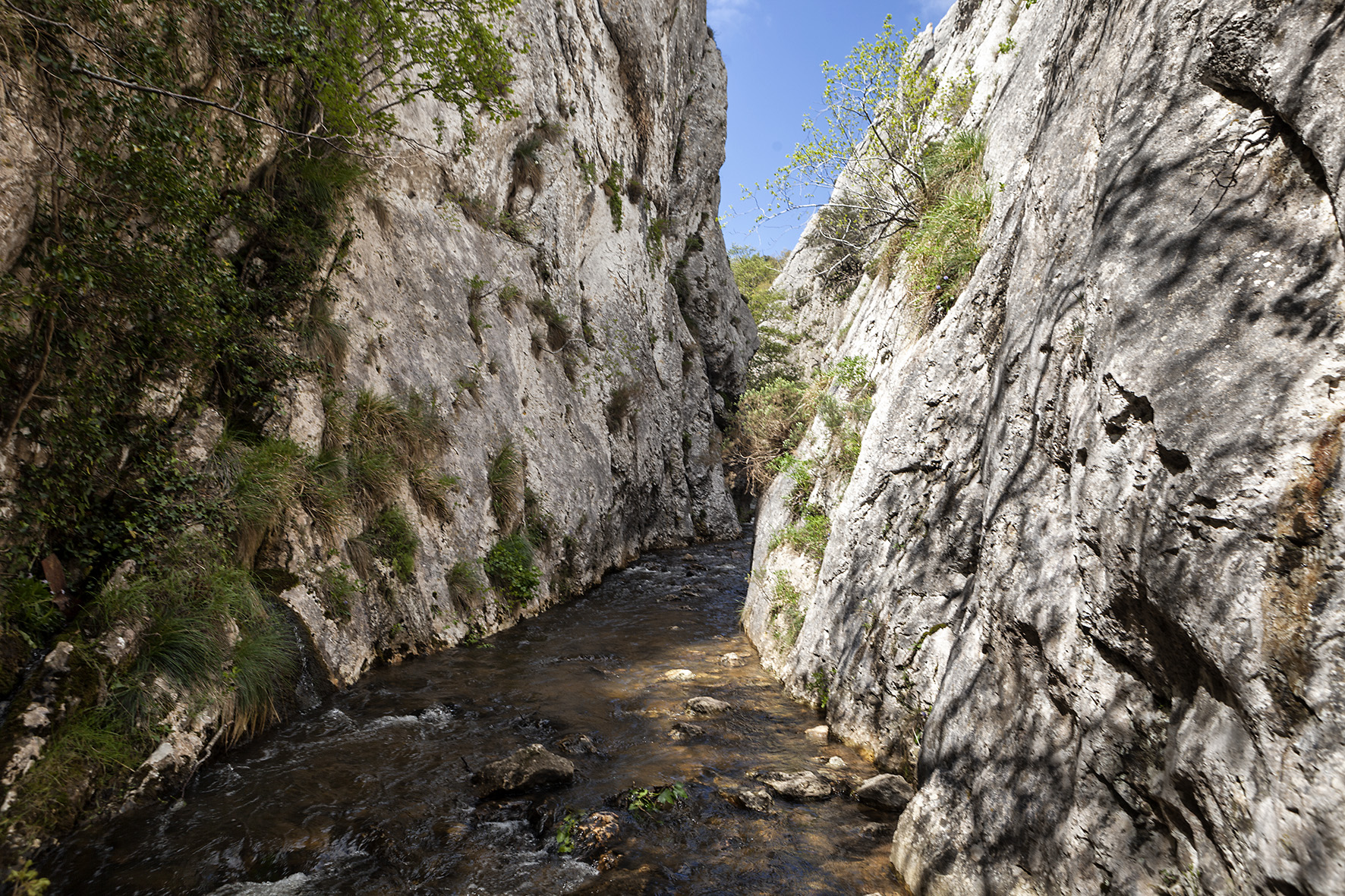 Las Palancas y la cueva del Piscarciano