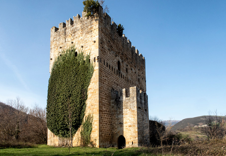 Castillo de los Velasco, en Espinosa de los Monteros