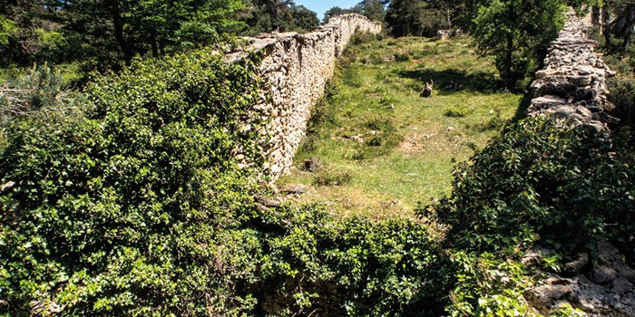 Lobera de Pérex, memoria de la supervivencia