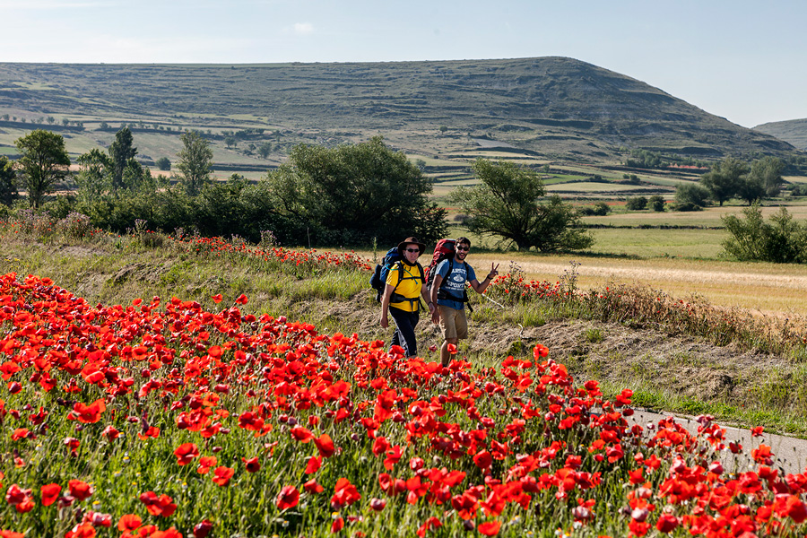 Ocho iconos jacobeos de Burgos