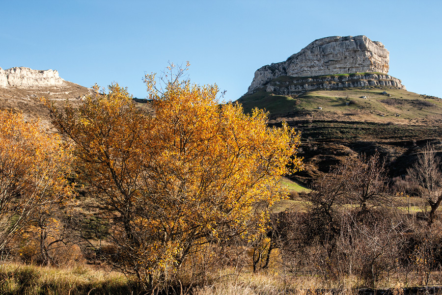 Peña Castillo, un castro en miniatura