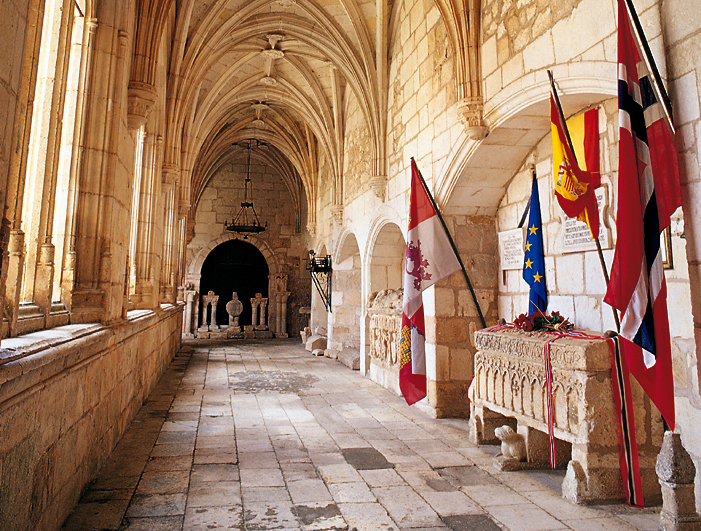 Una bella princesa noruega