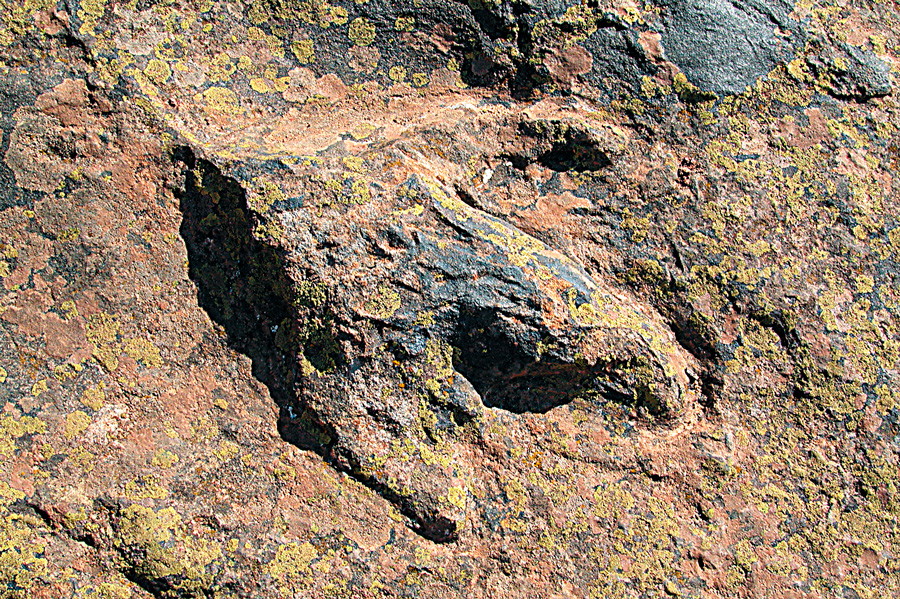 Burgos, tierra de dinosaurios