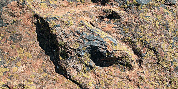 Burgos, tierra de dinosaurios