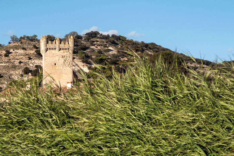 Campo de Muñó, tierra de Castillos