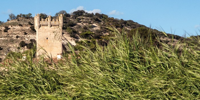 Campo de Muñó, tierra de Castillos