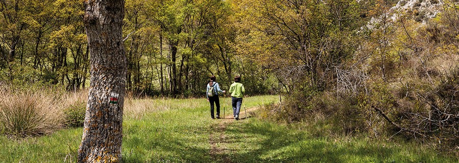 6- Las Palancas y la Cueva del Piscarciano 